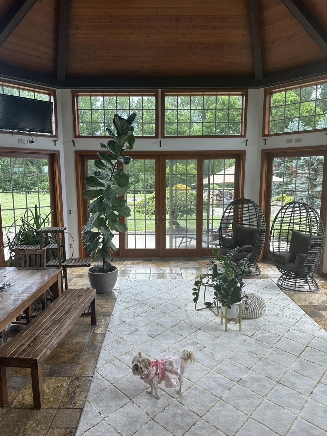 Exterior deck and trim project